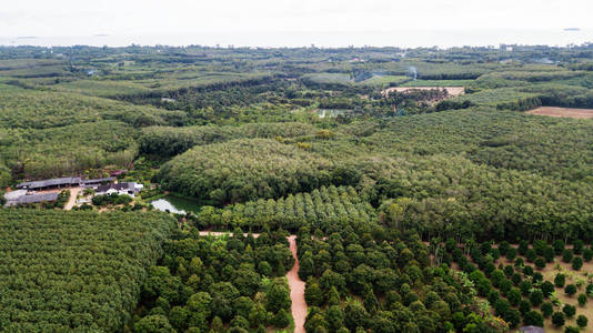 空中的风景，在泰国野生森林