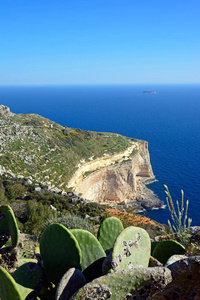 高架的观鼎立悬崖与海与花椒梨在前景，鼎立，马耳他