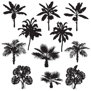 热带植物剪影集