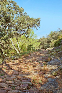 在山间小路