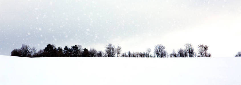 树与雪, 圣诞节背景