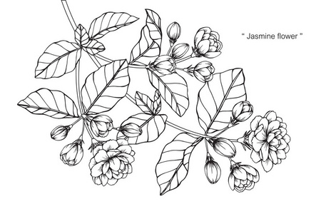 科幻绘画黑白图片-科幻绘画黑白素材-科幻绘画黑白插画-摄图新视界