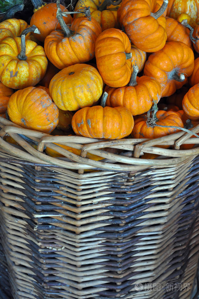 篮子里装满了迷你南瓜