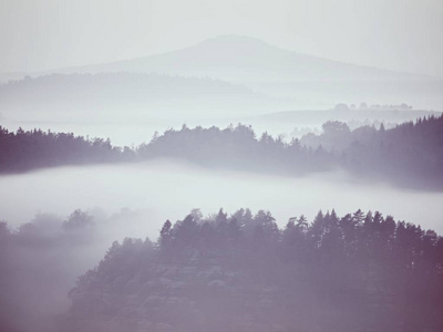 查看进迷雾笼罩的山谷。高大的树木和岩石山峰增加从厚厚的雾。第一次的太阳光芒