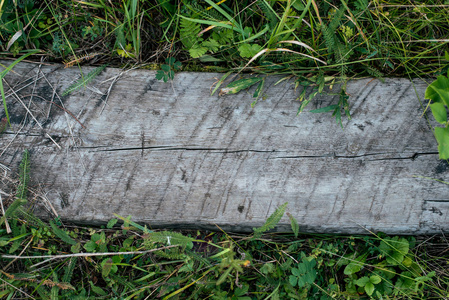 木木板宽木, 背景与绿草。用于编写文本的纹理树。公园里的一个夏日。灰色胶合板
