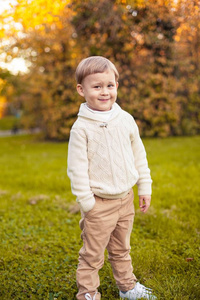 3 年的一个可爱的小男孩走在秋天的公园。温暖的秋天。红色的叶子。一个男孩在针织套头毛衣。小齐的男孩