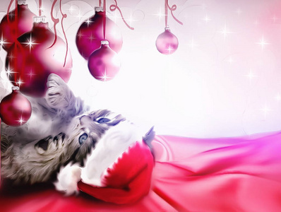 可爱的圣诞贺卡与小小猫图片