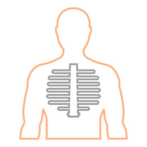 男人的轮廓与脊柱的形象。线性的图标