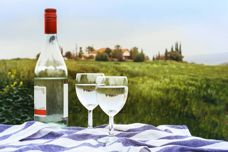 与葡萄酒瓶的野餐