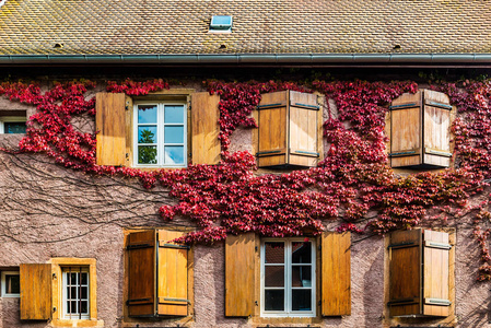 在传统的美丽窗口法国 Eguisheim C 附近的房子