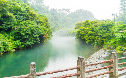 在济州岛天地渊瀑布公园花园