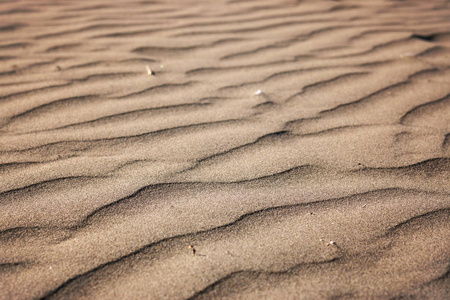 沙波的形式在沙滩上