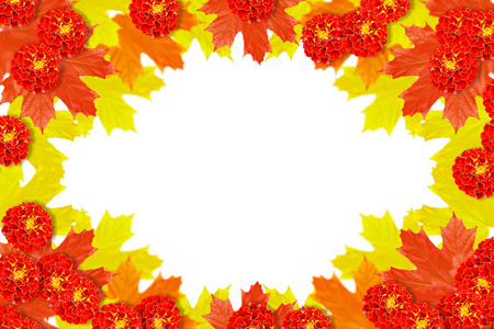 鲜艳多彩的秋叶图片