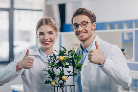 与柠檬植物生物学家图片