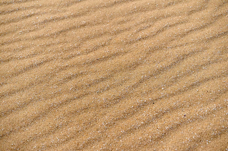 在海滩上的沙