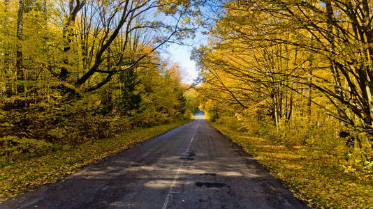在明亮的秋天森林的通路。鸟瞰图