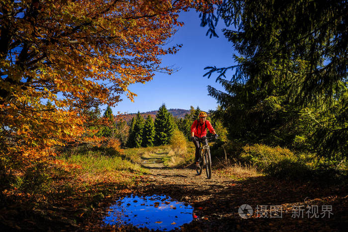 骑自行车在秋天的树林中的小周期路上山骑自行车女人