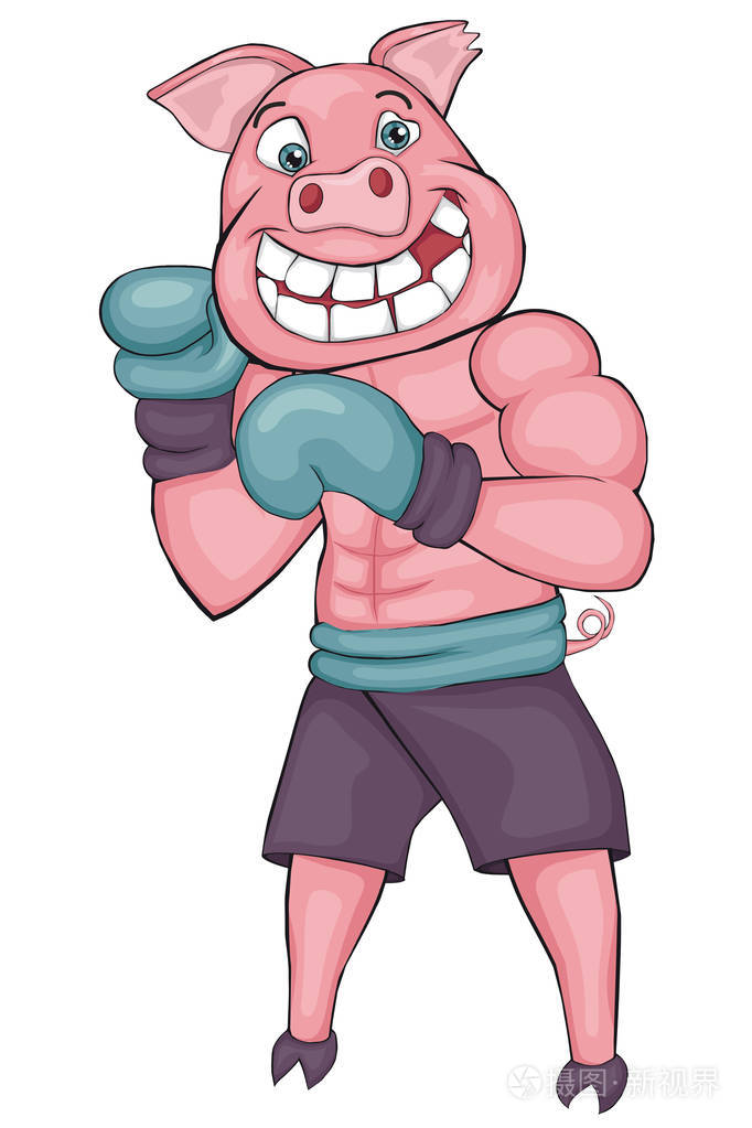 猪的拳击手卡通风格白色背景上的孤立的形象