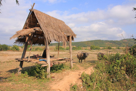 阿卡部落山村照片