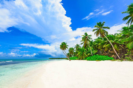 天堂热带海滩棕榈加勒比海