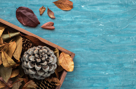 秋季假期贺卡的平躺构图。松树球果, 橡木枝, 橡子, 叶, 栗子在一个木盒子上的蓝色纹理背景。顶部视图