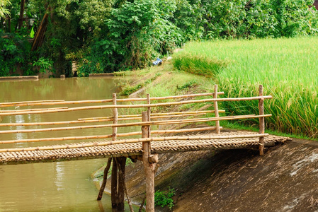 竹桥跨越到水田。泰国