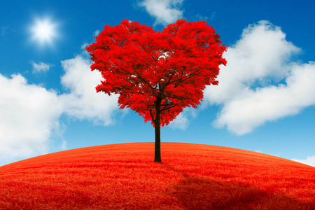 红色的心形树在下降背景场照片