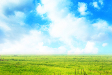 美丽的草地景观,明亮的云和蓝天的背景.