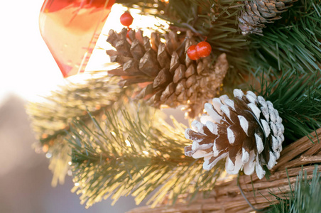 颠簸和 str 冬季的圣诞树上的装饰品