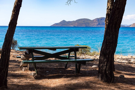 长凳和桌在树的阴影在海滩以海看法