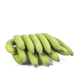 白色背景上的绿色新鲜香蕉
