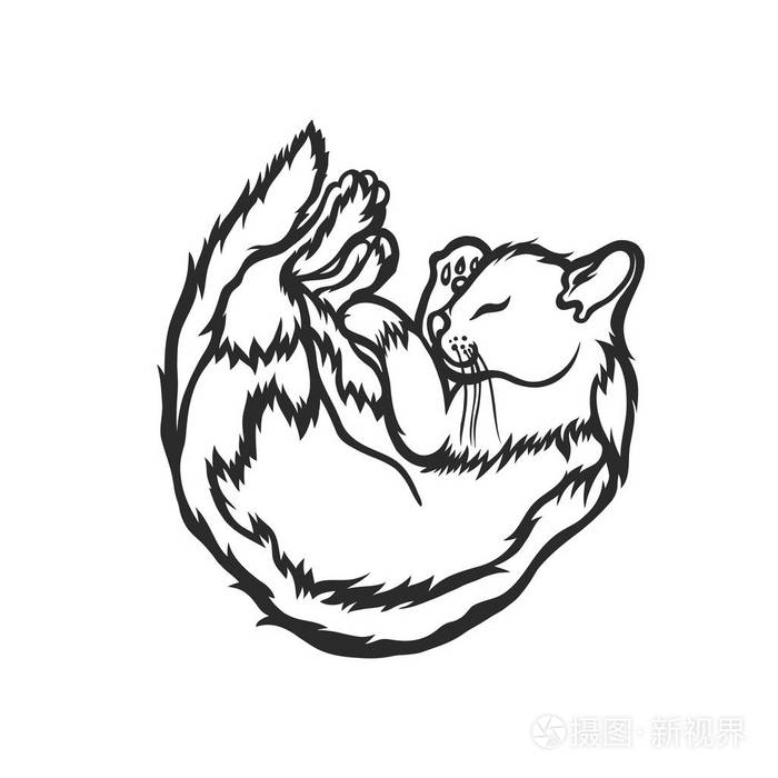 他闭着眼睛睡觉的猫蜷缩起来草绘矢量图