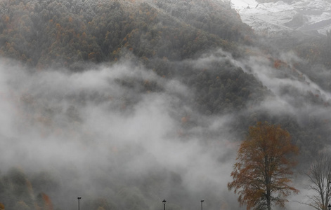有雾的冬天景观全景图