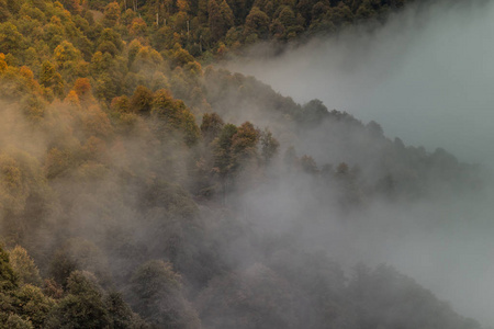 有雾的冬天景观全景图