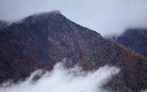 有雾的冬天景观全景图