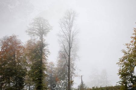 有雾的冬天景观全景图