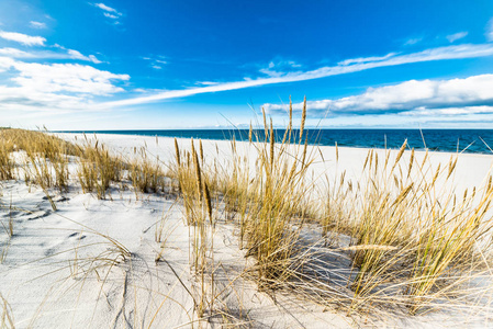 海海滩景观和蓝天。沙丘与草莱，波罗的海，波兰