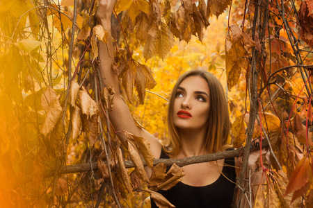 可爱的年轻女孩与弥补构成在金色的秋天的树林