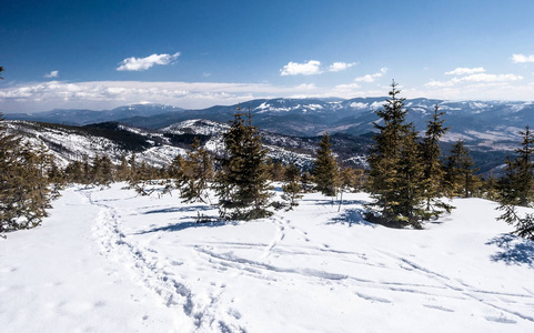 冬天 Beskids 山全景