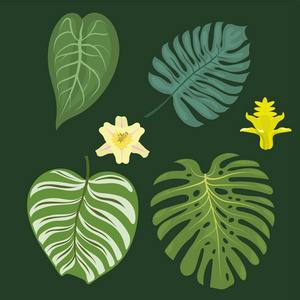 植物夏季绿色图片-植物夏季绿色素材-植物夏季绿色插画-摄图新视界