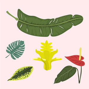 热带树叶夏季绿色异国情调丛林棕榈叶自然植物植物学夏威夷植物矢量插图