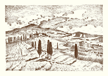 刻的手绘老素描和复古风格的标签。意大利托斯卡纳领域背景和松柏树。收获和草堆里。乡村景观的 wineyard 和村庄或乡村房屋