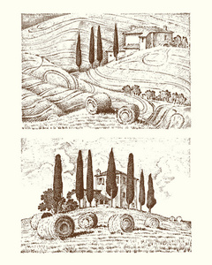 刻的手绘老素描和复古风格的标签。意大利托斯卡纳领域背景和松柏树。收获和草堆里。乡村景观的 wineyard 和村庄或乡村房屋