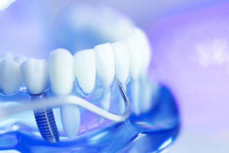 牙科牙齿牙医模型图片