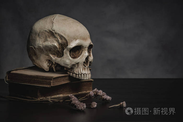 在桌子上,静物的头骨