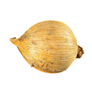 唐菖蒲切花的花束图片