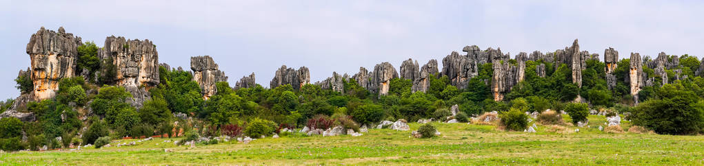 Panomaric 观的石林石灰岩石峰石林云南，中国