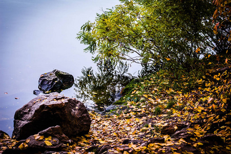 在黑牛河的石岸上的秋天图片