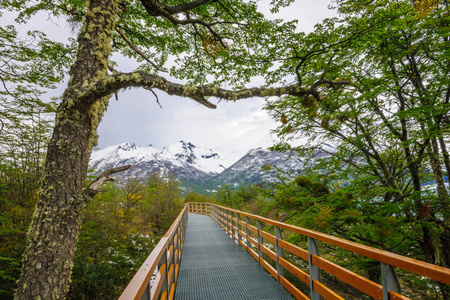 行人路和景观在洛杉矶冰川国家公园