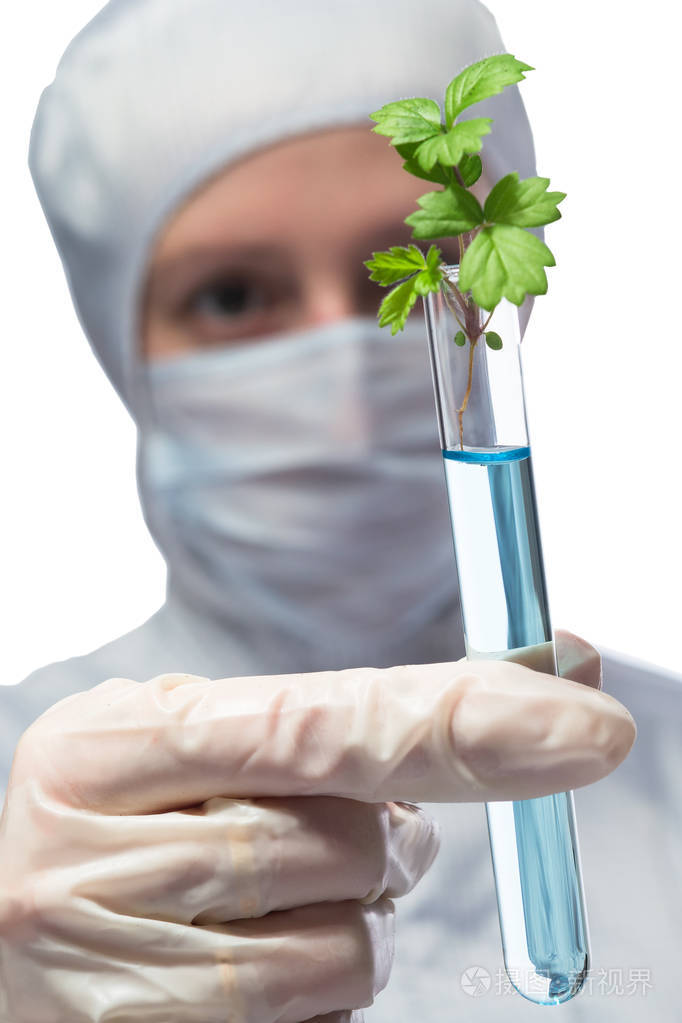 科学家在白色背景上的他手里拿着试管中的绿苗